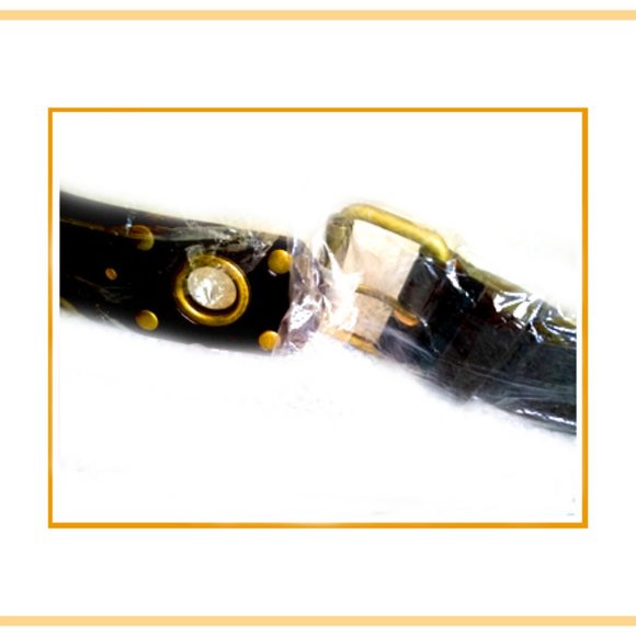 New Rare & Unique Women\'s Very Fancy Accented Belt With Brass Accents main image 6